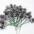 24pcs of Christmas Decorative Pine Cone Branches in Brushed White End, Ideal for Adorning Christmas Trees, Creating Ornaments, Crafting Materials, Photography Props, Hanging Decorations, Wreaths, And
