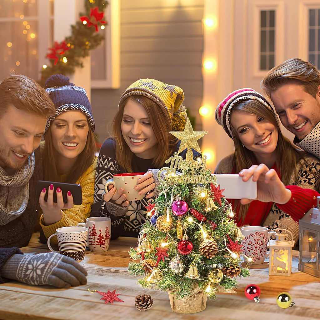 Small Christmas Tree with Lights,21.65 in Mini Tabletop Tree Decor Little Christmas Tree With 20 Led Warm White String Lights,with Pine Cones Ornaments